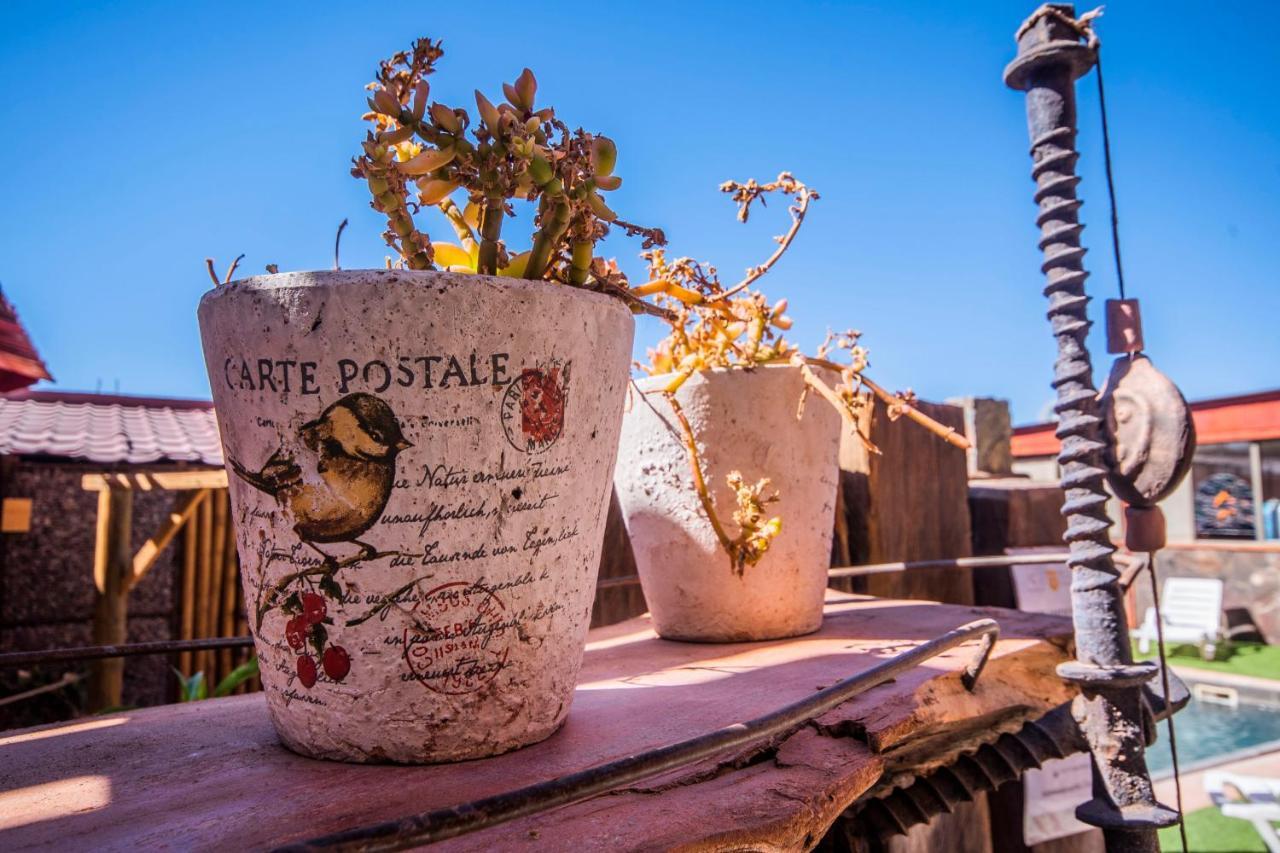 Hotel Casa Algarrobo San Pedro de Atacama Exteriér fotografie